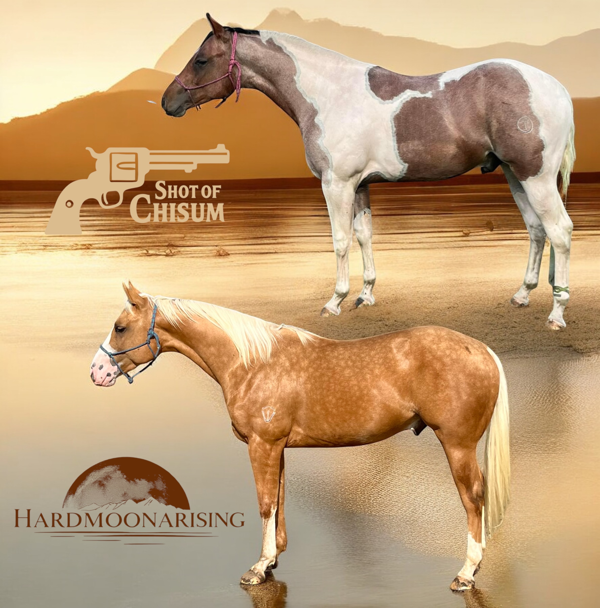 SECRETHEART PAINT HORSES